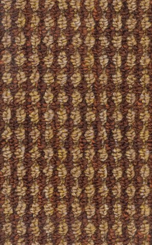 504 Cocoa Brown